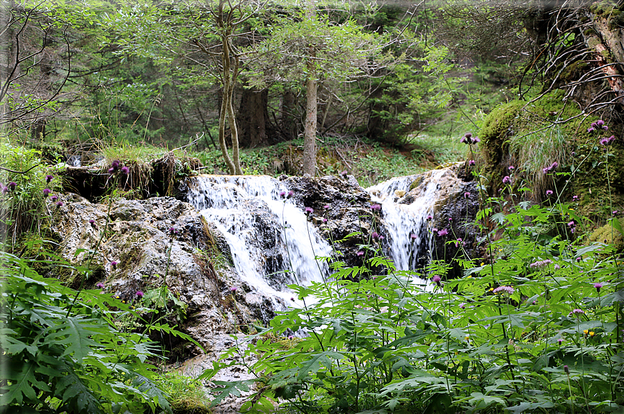 foto Cascate alte in Vallesinella